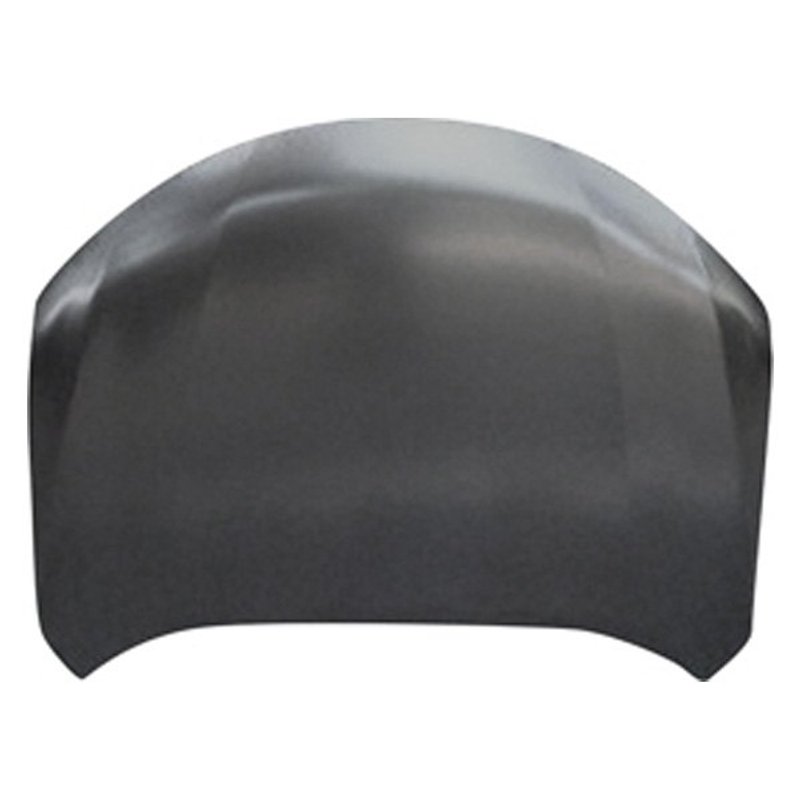 TechPro NI1230197 Hood Panel Assembly