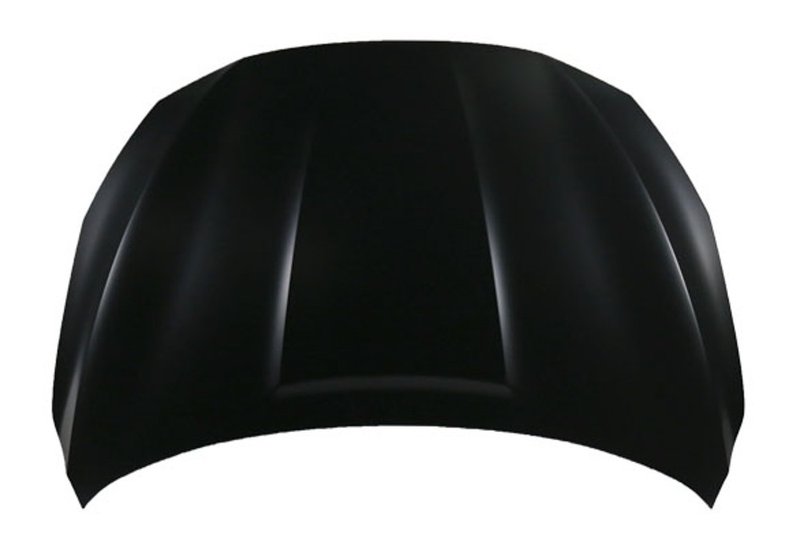 TechPro NI1230208 Hood Panel Assembly