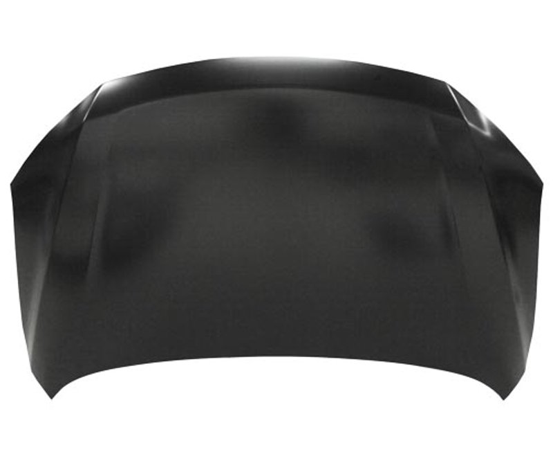 TechPro NI1230217C Hood Panel Assembly
