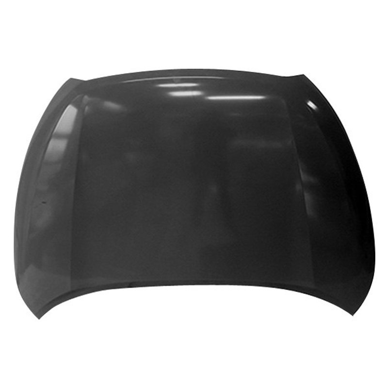 TechPro NI1230220 Hood Panel Assembly