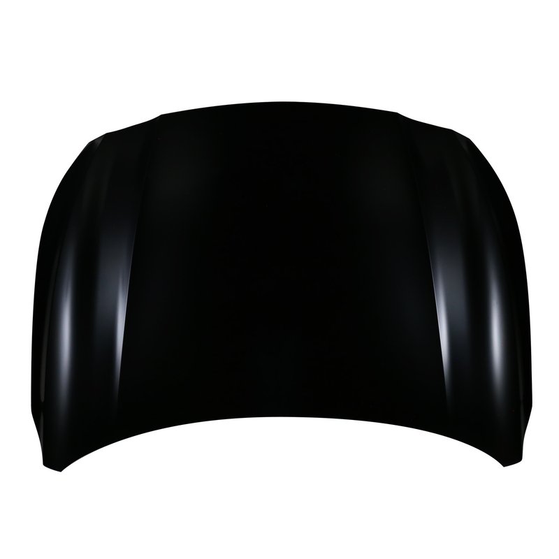 TechPro NI1230221C Hood Panel Assembly