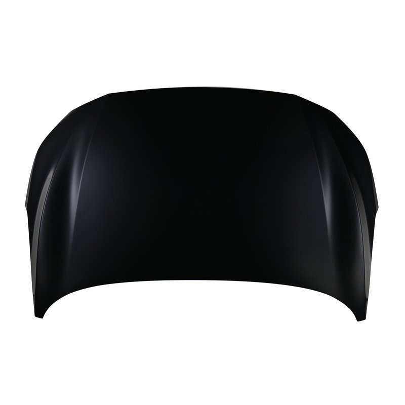TechPro NI1230224 Hood Panel Assembly