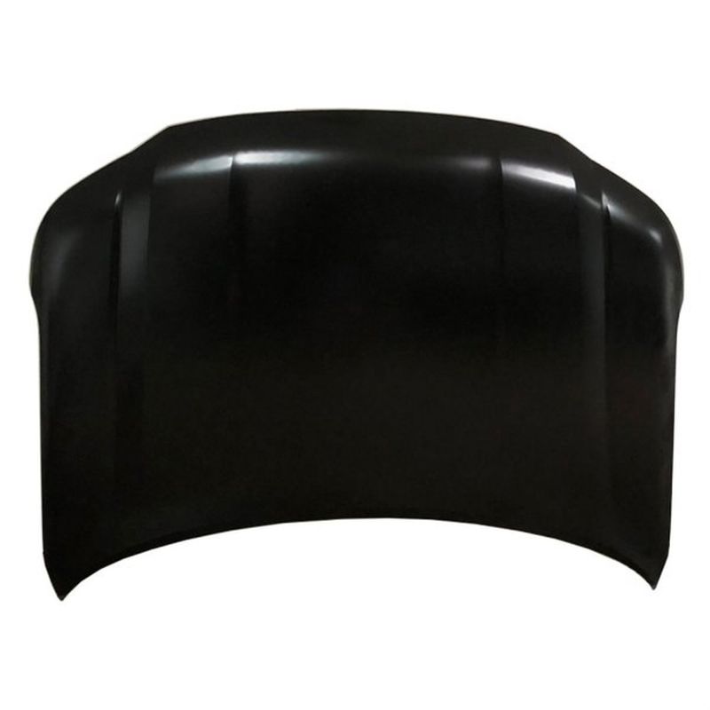 TechPro NI1230230C Hood Panel Assembly
