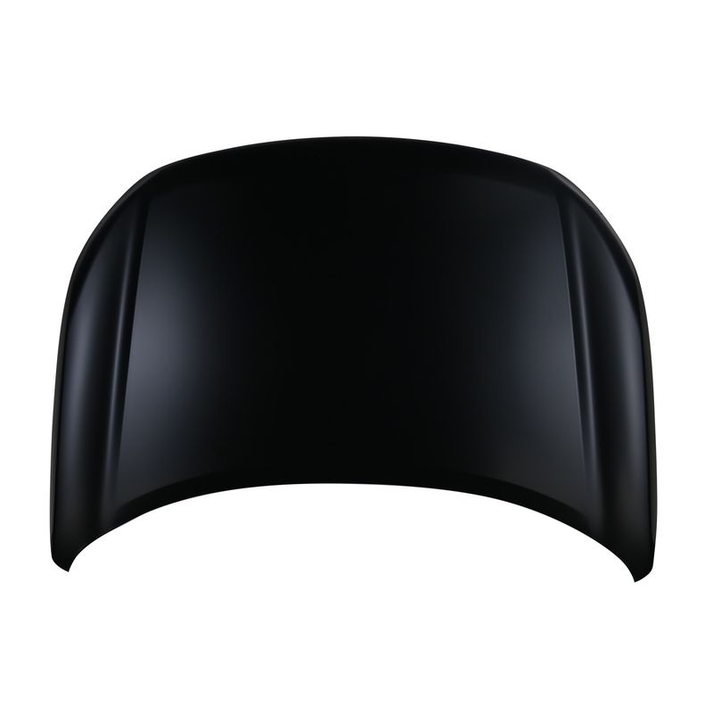 TechPro NI1230232C Hood Panel Assembly