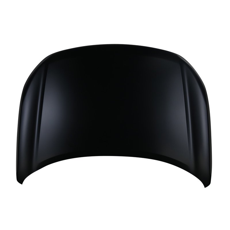 TechPro NI1230232 Hood Panel Assembly