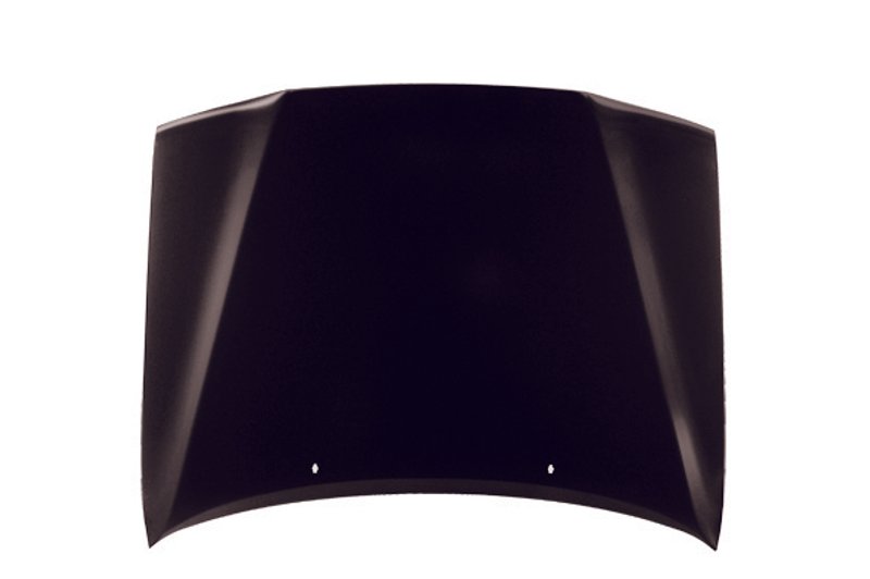 TechPro TO1230133C Hood Panel Assembly