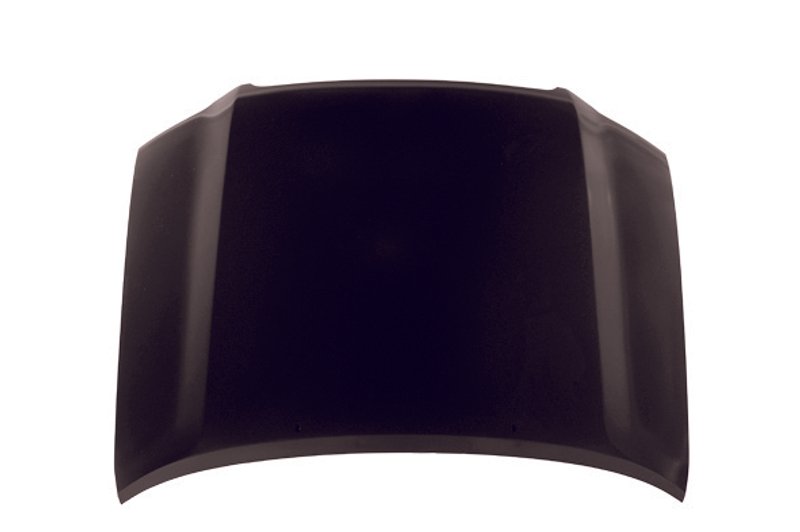 TechPro TO1230187 Hood Panel Assembly