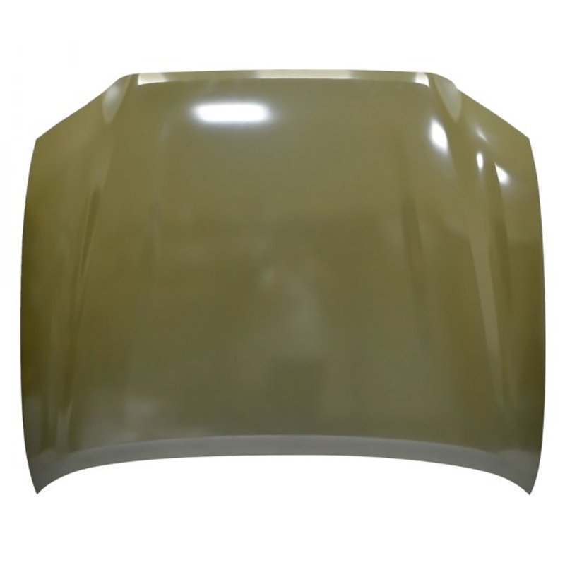 TechPro TO1230239 Hood Panel Assembly