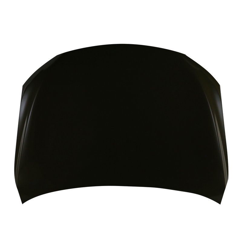TechPro TO1230250 Hood Panel Assembly