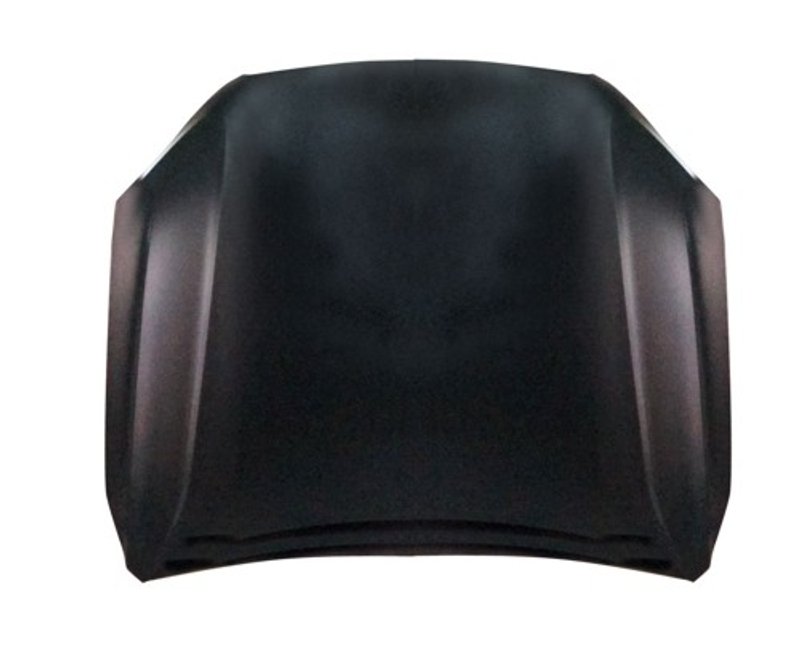 TechPro VO1230123C Hood Panel Assembly