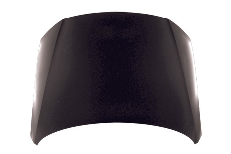 TechPro VW1230133C Hood Panel Assembly