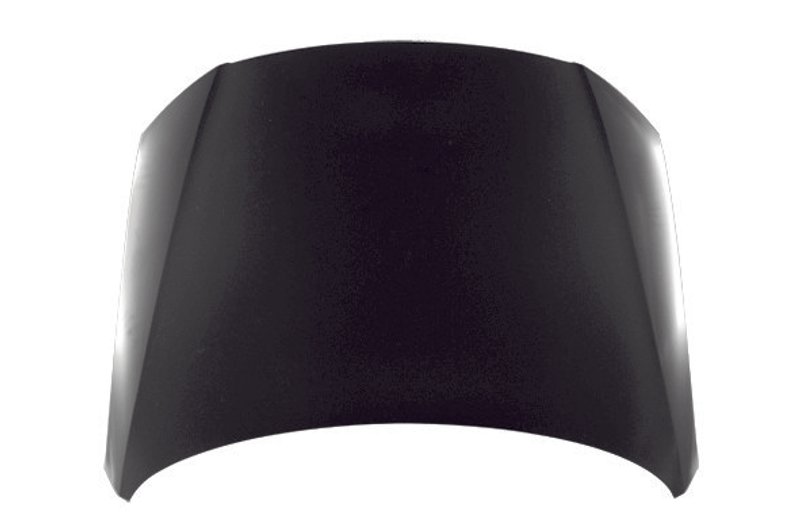 TechPro VW1230133 Hood Panel Assembly