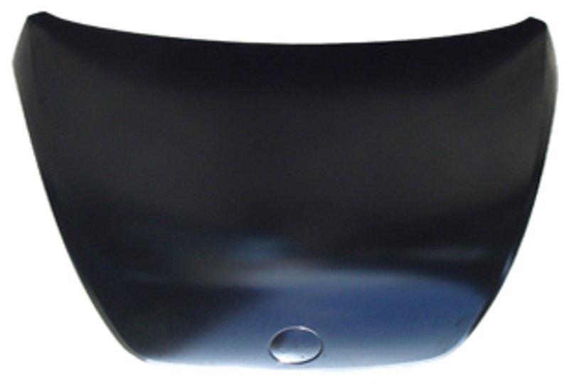 TechPro VW1230143C Hood Panel Assembly