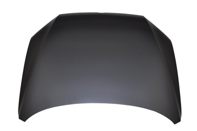 TechPro VW1230144C Hood Panel Assembly