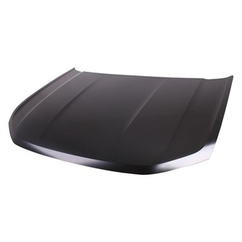 TechPro VW1230155 Hood Panel Assembly