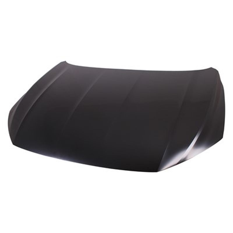 TechPro VW1230156C Hood Panel Assembly