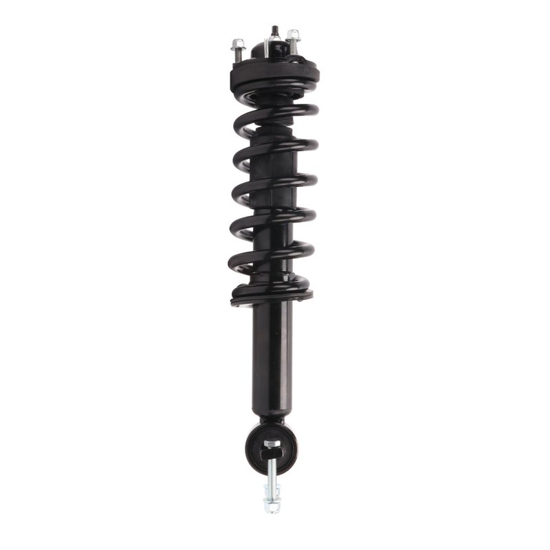 Monroe 173106 Suspension Strut and Coil Spring Assembly - Front