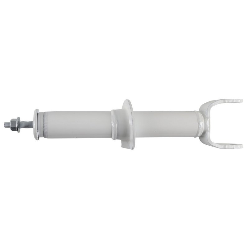 Rancho RS55757 Suspension Strut - Front