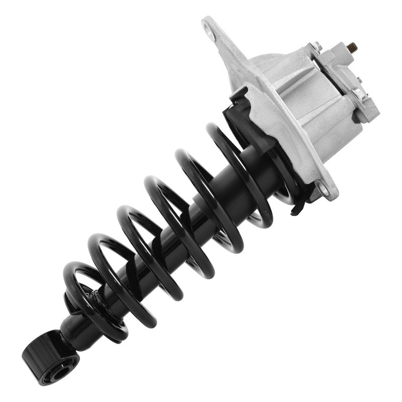 Unity 15075 Suspension Strut and Coil Spring Assembly - Rear Left