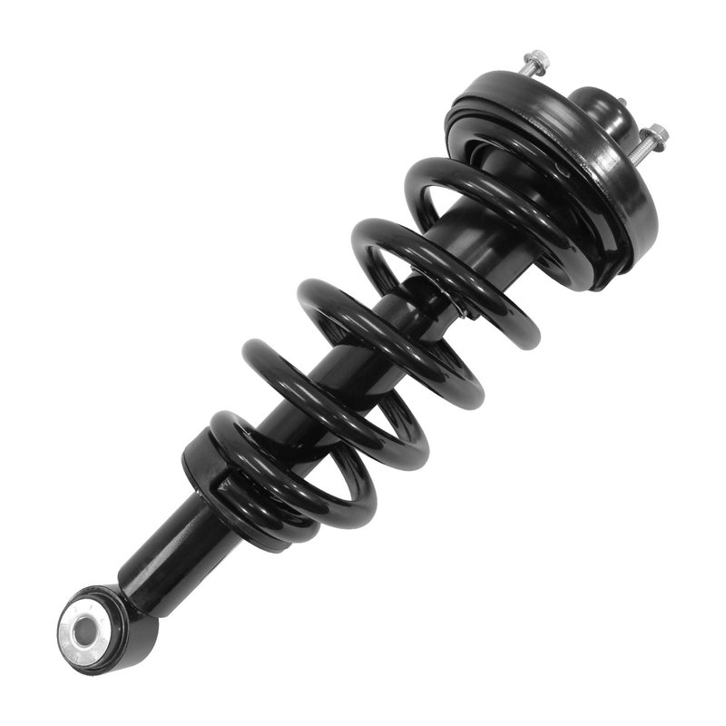 Unity 16030 Suspension Strut and Coil Spring Assembly - Rear