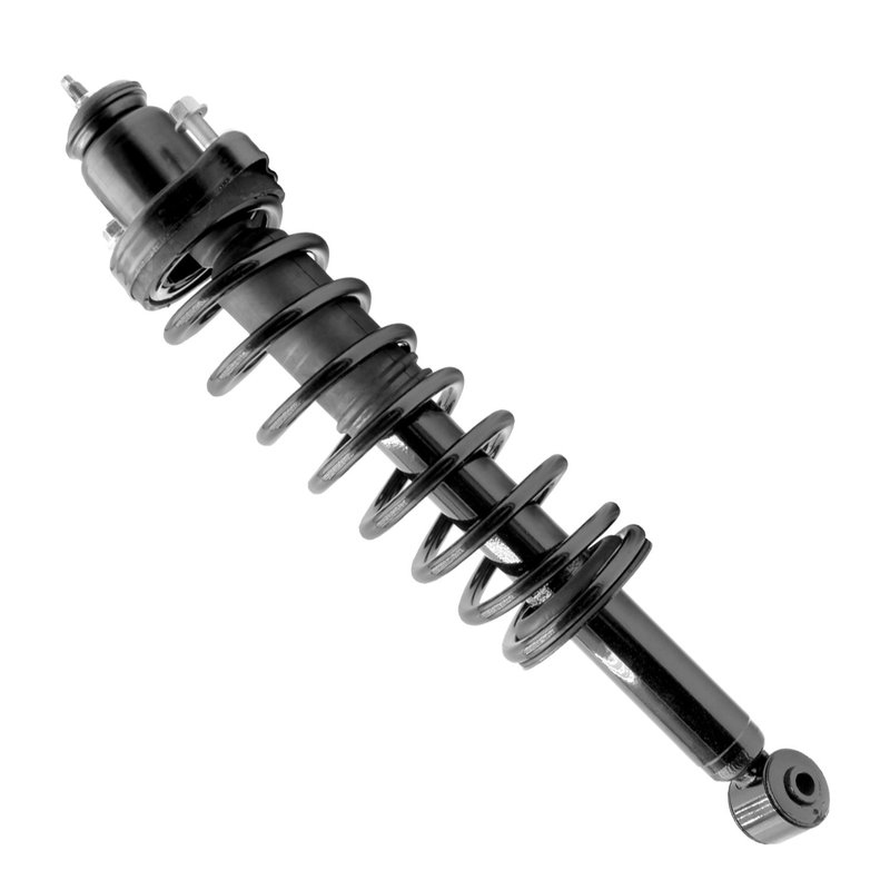 Unity 16170 Suspension Strut and Coil Spring Assembly - Rear