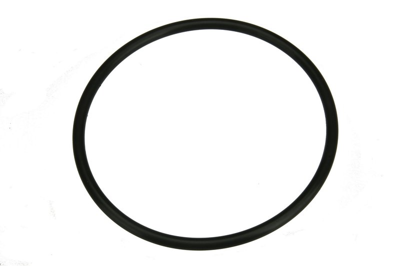 Autotecnica NI0515877 Fuel Pump Seal