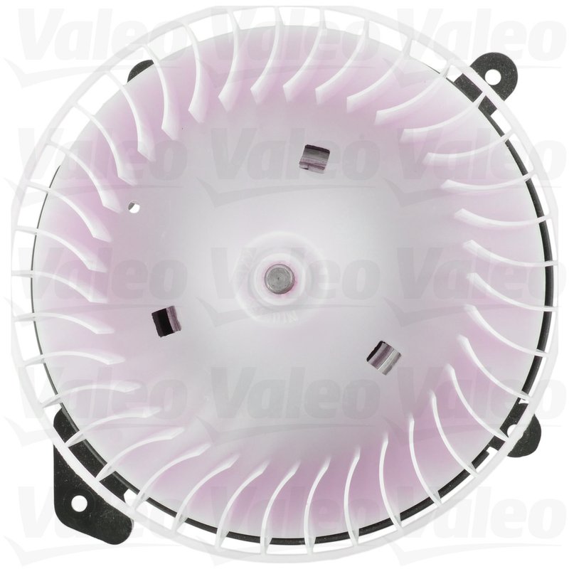 Valeo 698244 HVAC Blower Motor