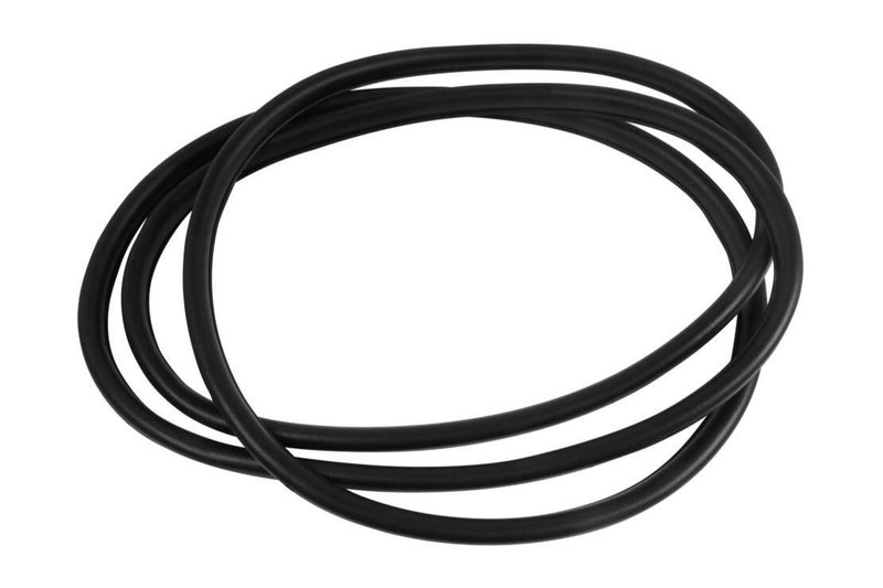 Vaico V20-1202 Door Window Seal - Front Right