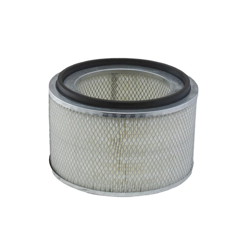 Donaldson P181030 Engine Air Filter