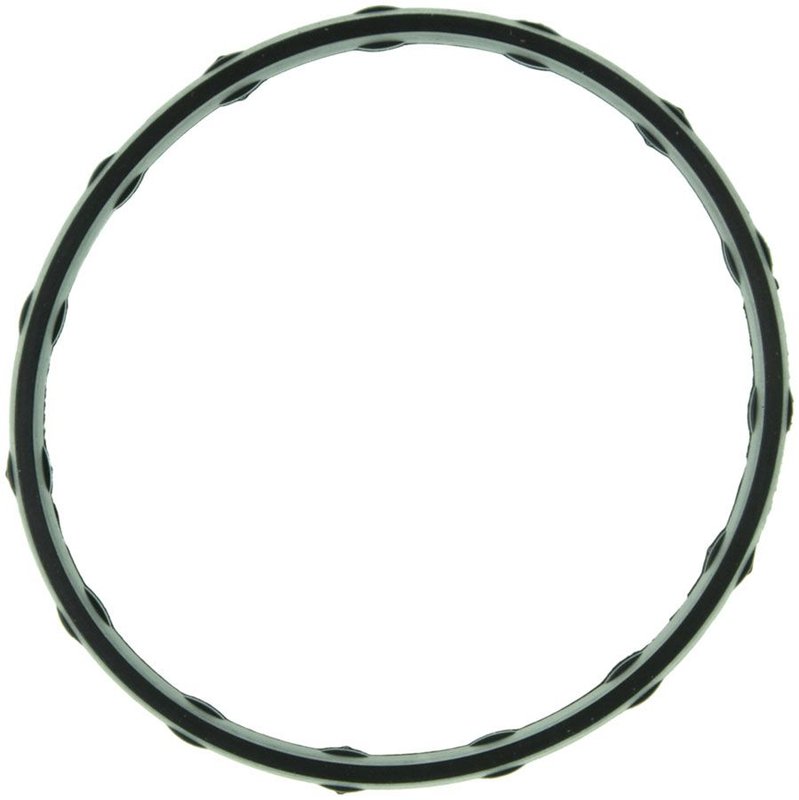 Mahle G31917 Fuel Injection Plenum Gasket