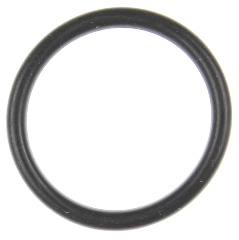 Mahle G32944 Fuel Injection Throttle Body O-Ring