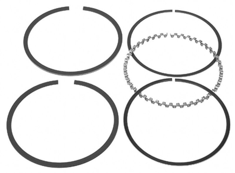 Mahle S50564CP Engine Piston Ring Set