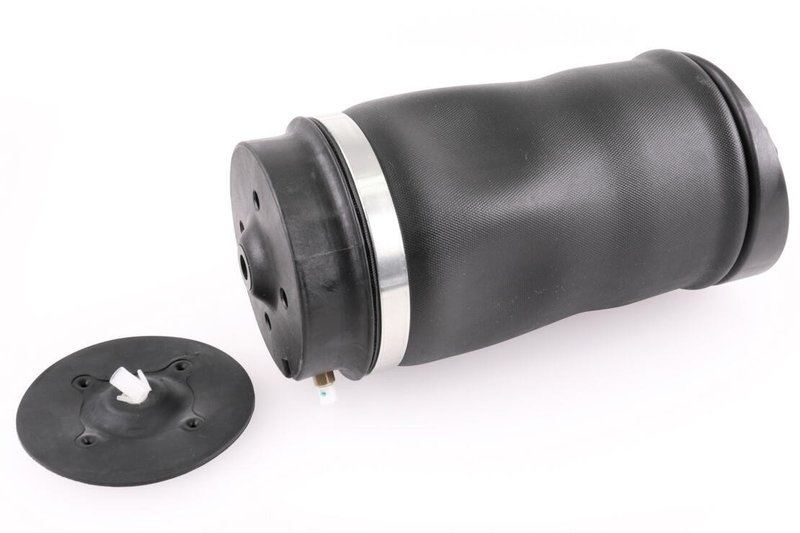 Vemo V30-50-0022 Air Suspension Strut - Rear