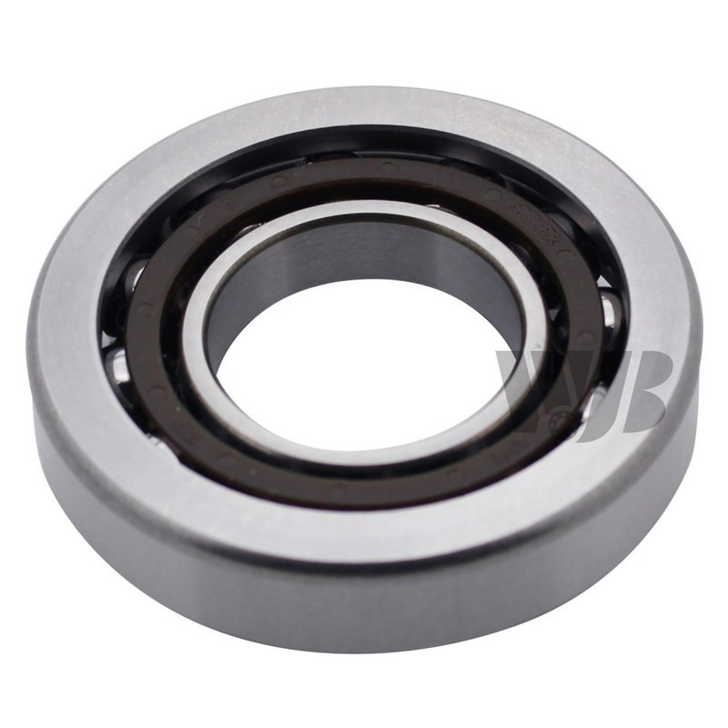 InMotion WBB66 Wheel Bearing - Front Inner