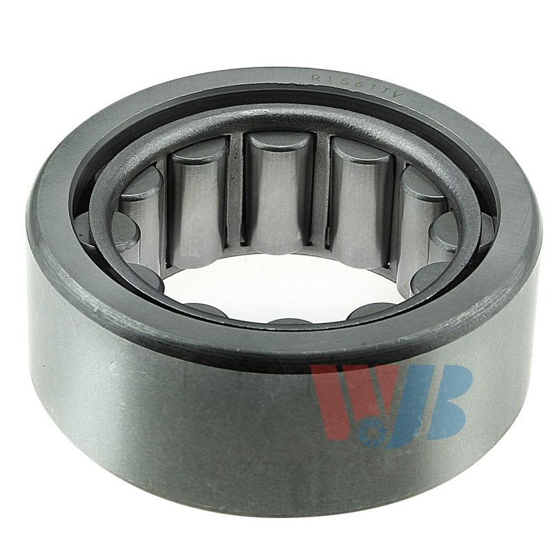 InMotion WBR1561TV Wheel Bearing - Rear