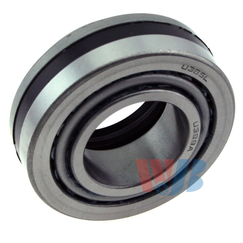 InMotion WTA20 Wheel Bearing and Race Set - Rear