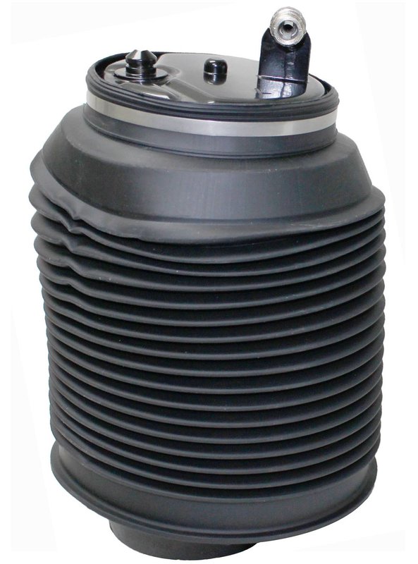 Westar AS-7037 Air Suspension Spring - Rear Left