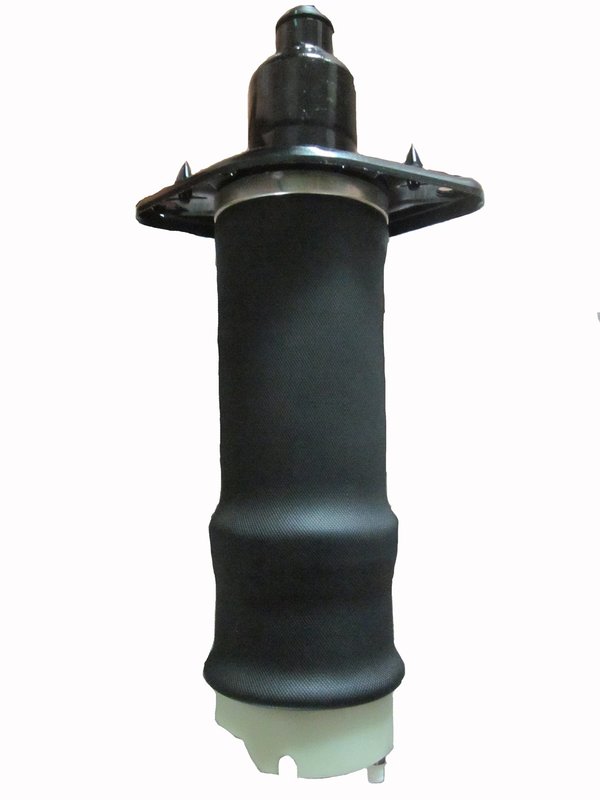Westar AS-7072 Air Suspension Spring - Rear Right