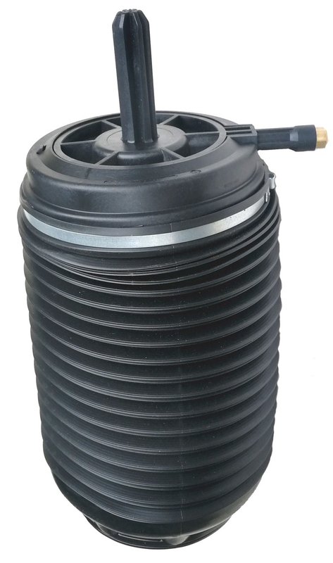 Westar AS-7082 Air Suspension Spring - Rear Right
