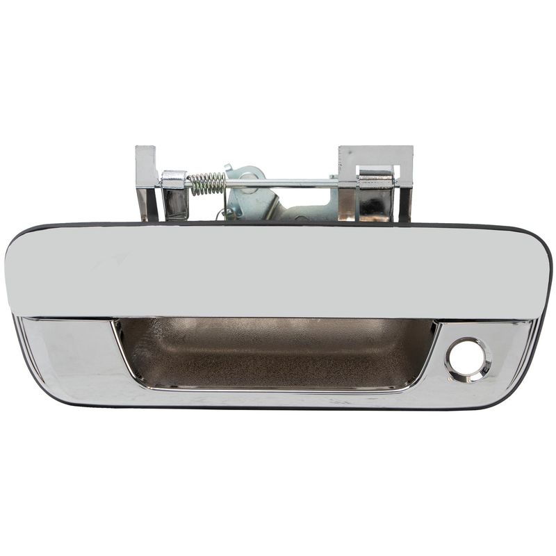 WAI 360105 Tailgate Handle - Rear