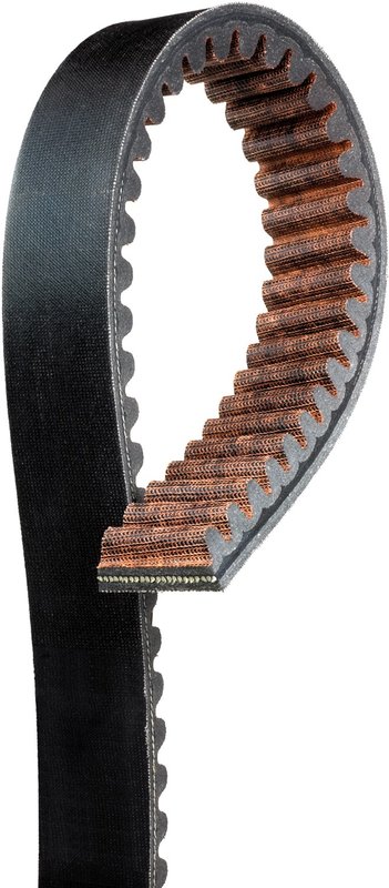 Gates 6044 Accessory Drive Belt - Drive