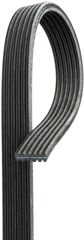 Gates DK060729 Serpentine Belt