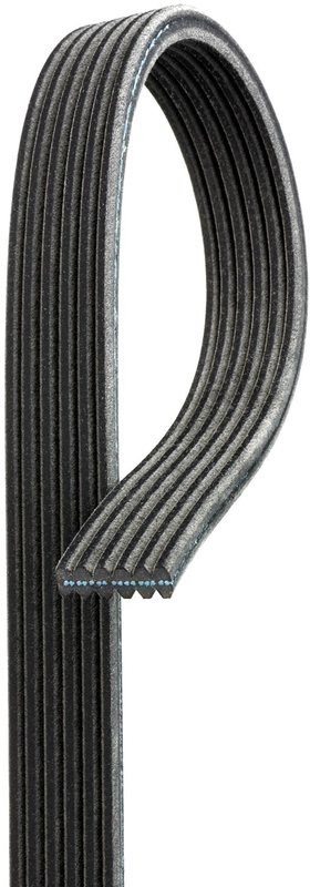Gates DK060973 Serpentine Belt
