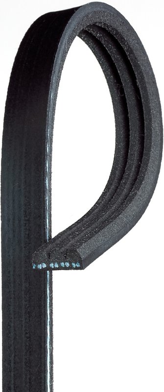 Gates K030295 Serpentine Belt - Power Steering