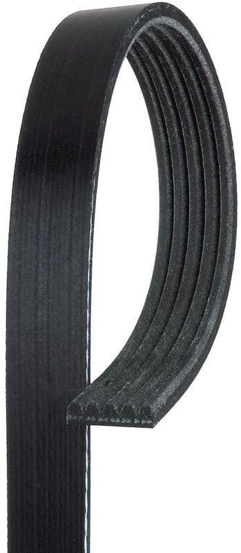 Gates K050405 Serpentine Belt