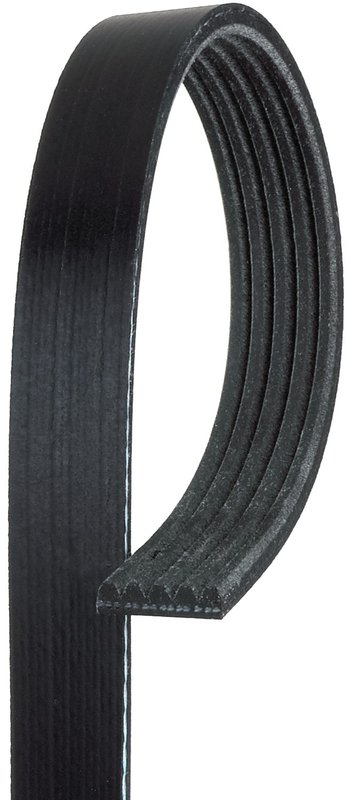 Gates K050887 Serpentine Belt