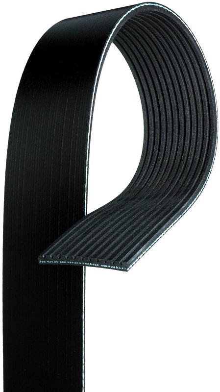 Gates K121124 Serpentine Belt - Fan