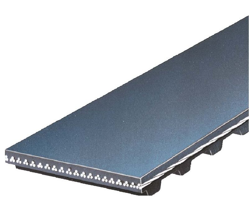 Gates T174 Engine Timing Belt