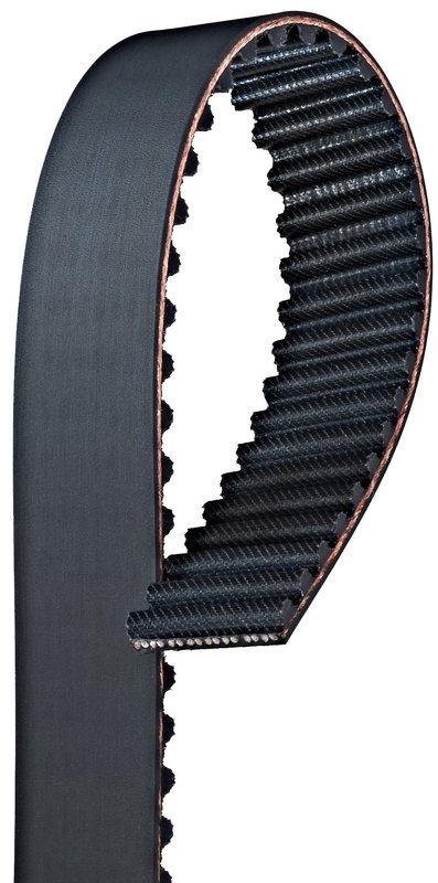 Gates T254 Engine Timing Belt