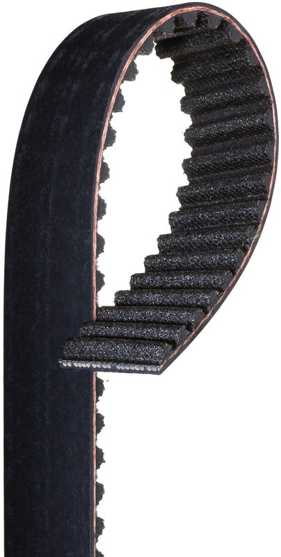 Gates T305 Engine Timing Belt